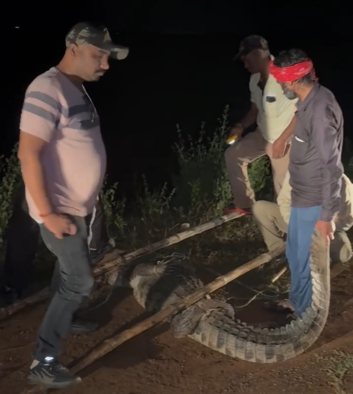 घर में घुसा विशाल का मगरमच्छ, उड़े होश