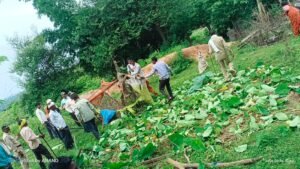 वन भूमि पर अतिक्रमण के खिलाफ वन विभाग की बड़ी कार्रवाई, चला बुलडोजर